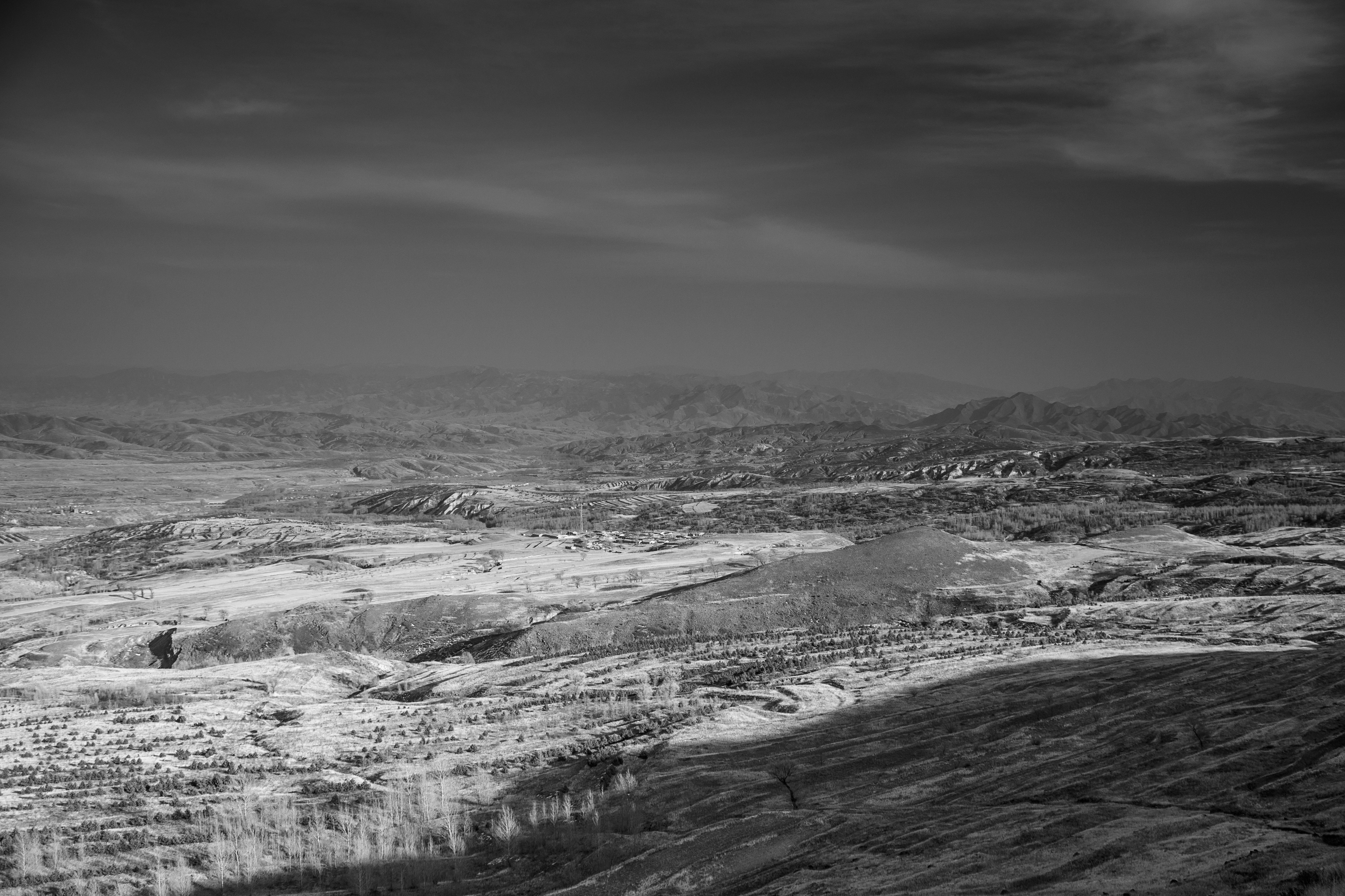 Photo by invisibledragon