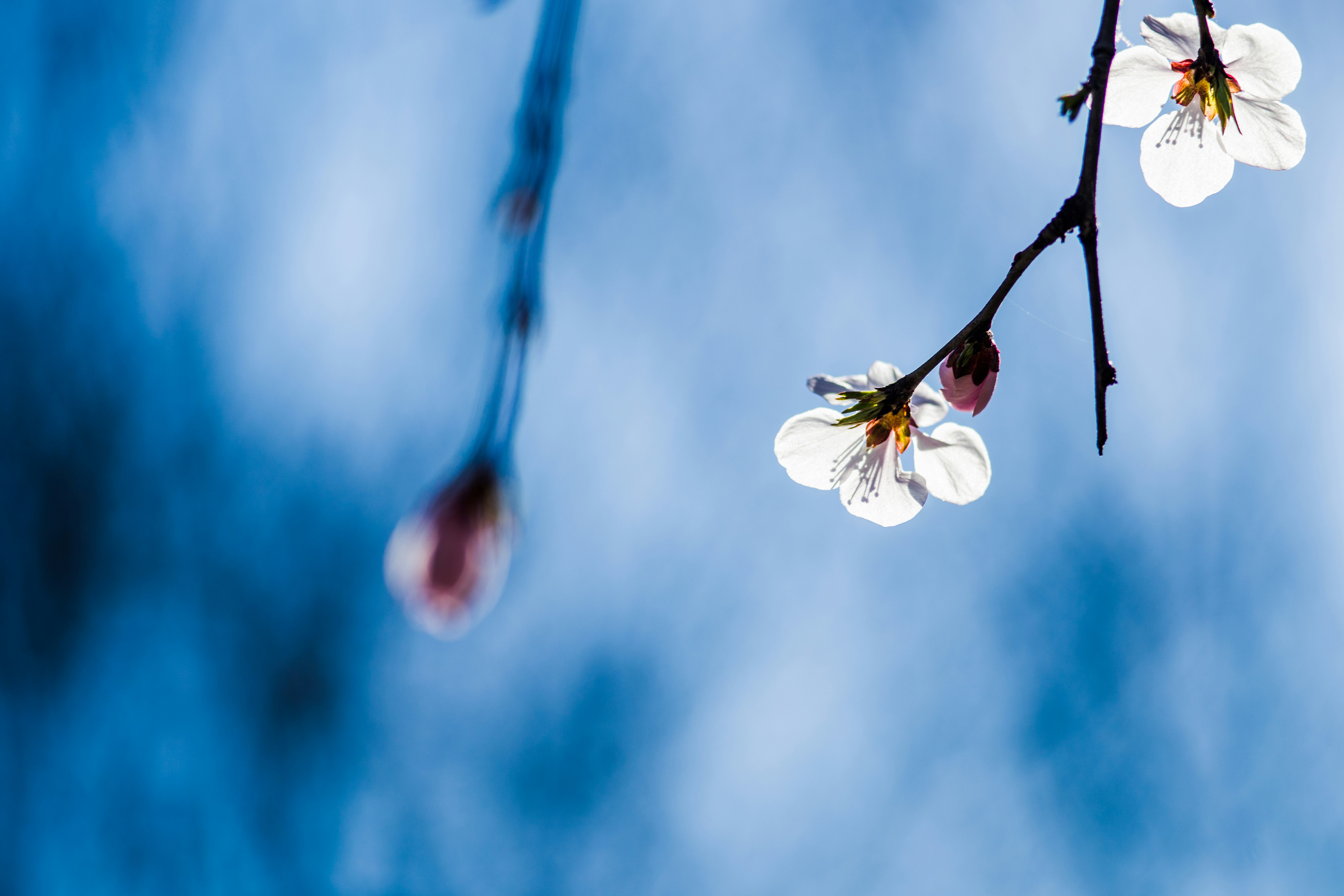 Photo by invisibledragon