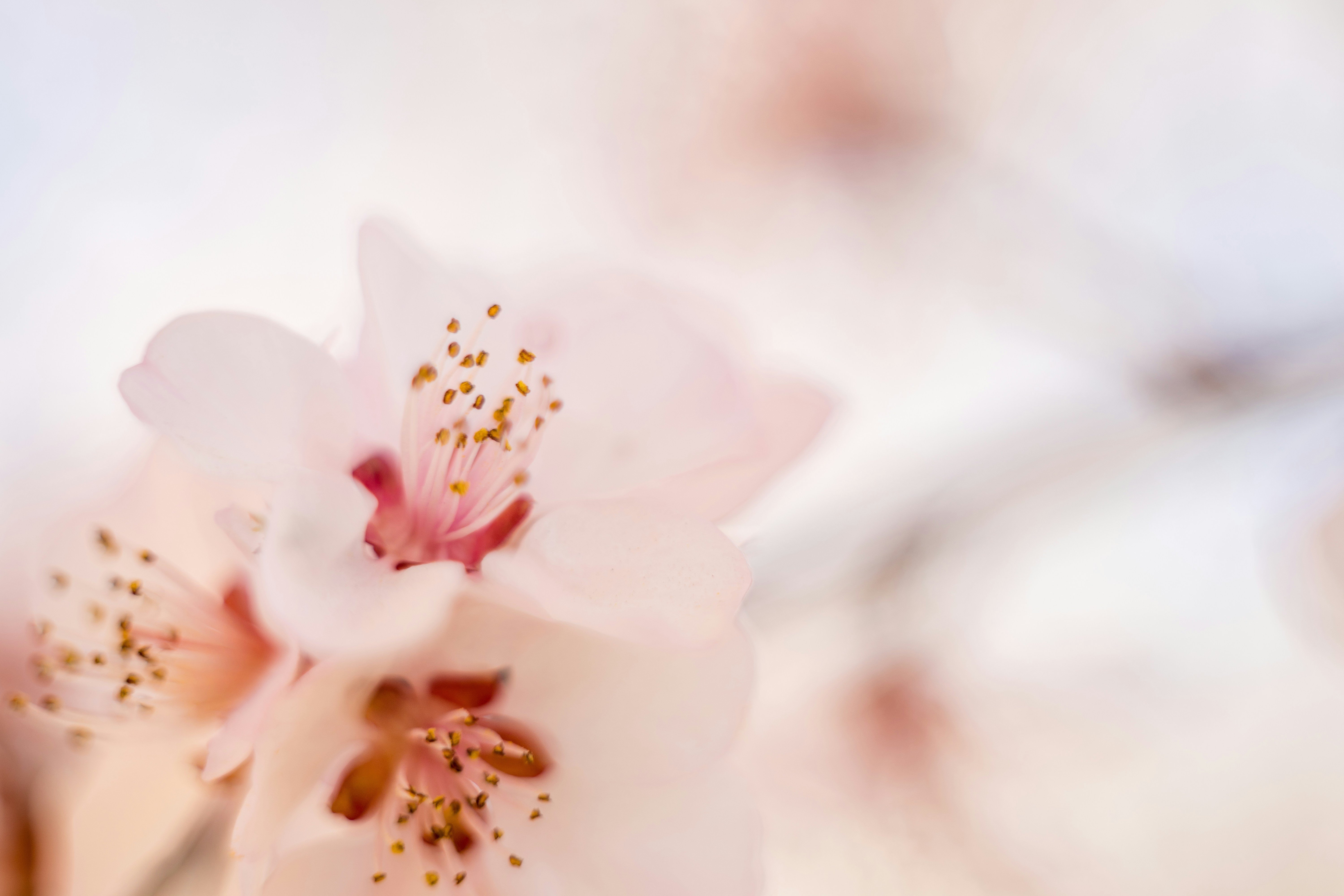 Photo by invisibledragon