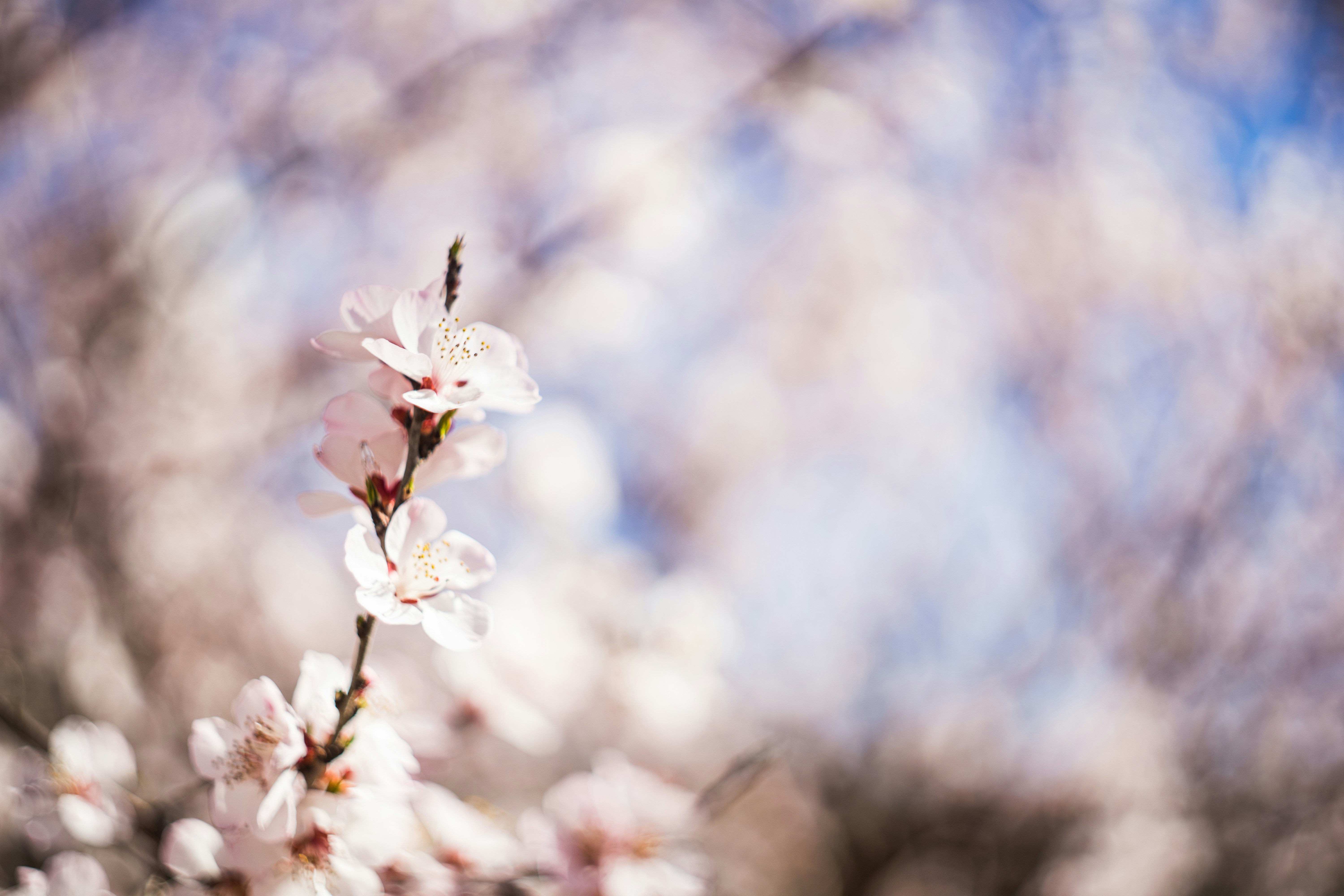 Photo by invisibledragon