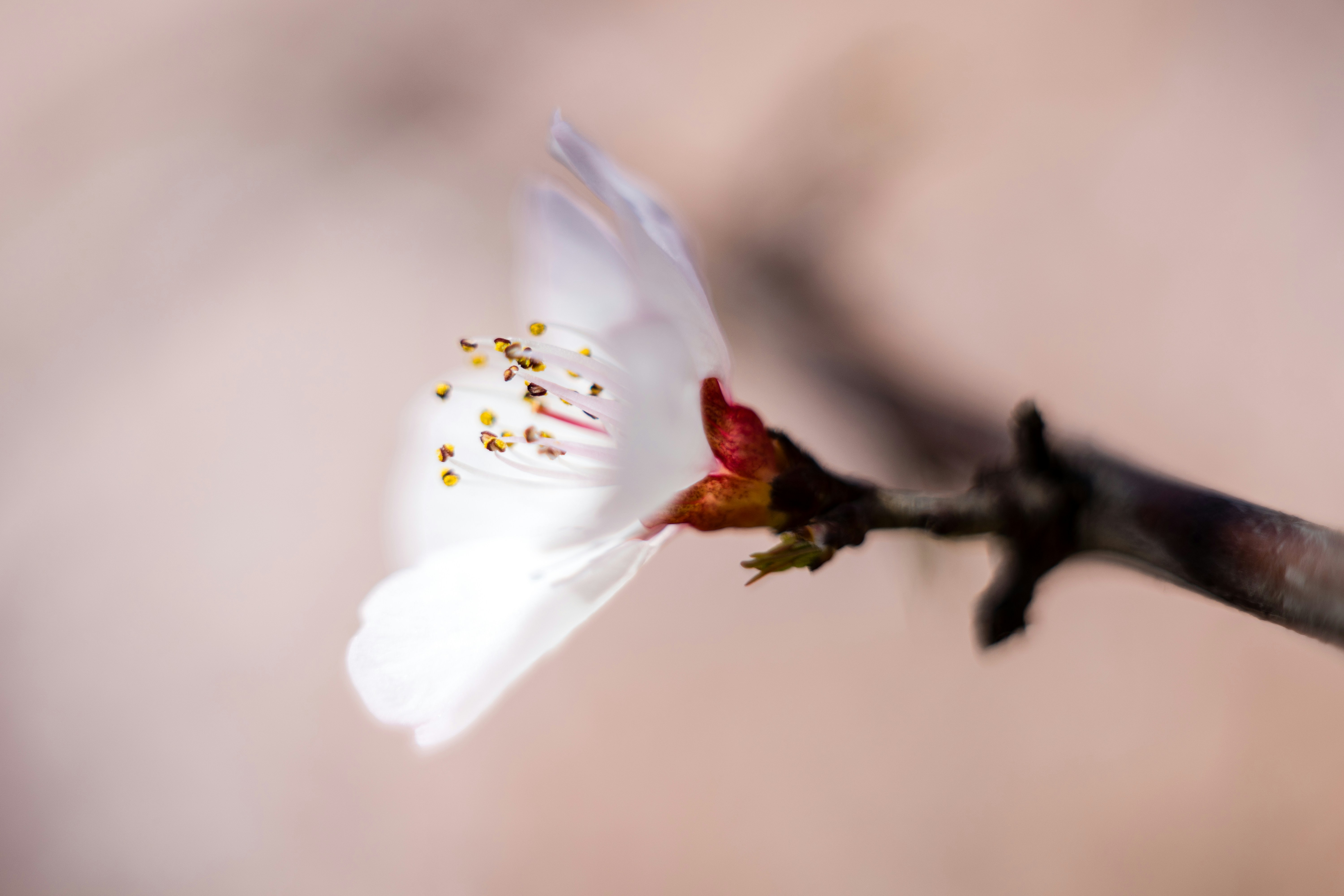 Photo by invisibledragon