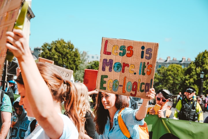 A woman holding a placard that reads "Less is More. It's Eco-logical" during a protest
