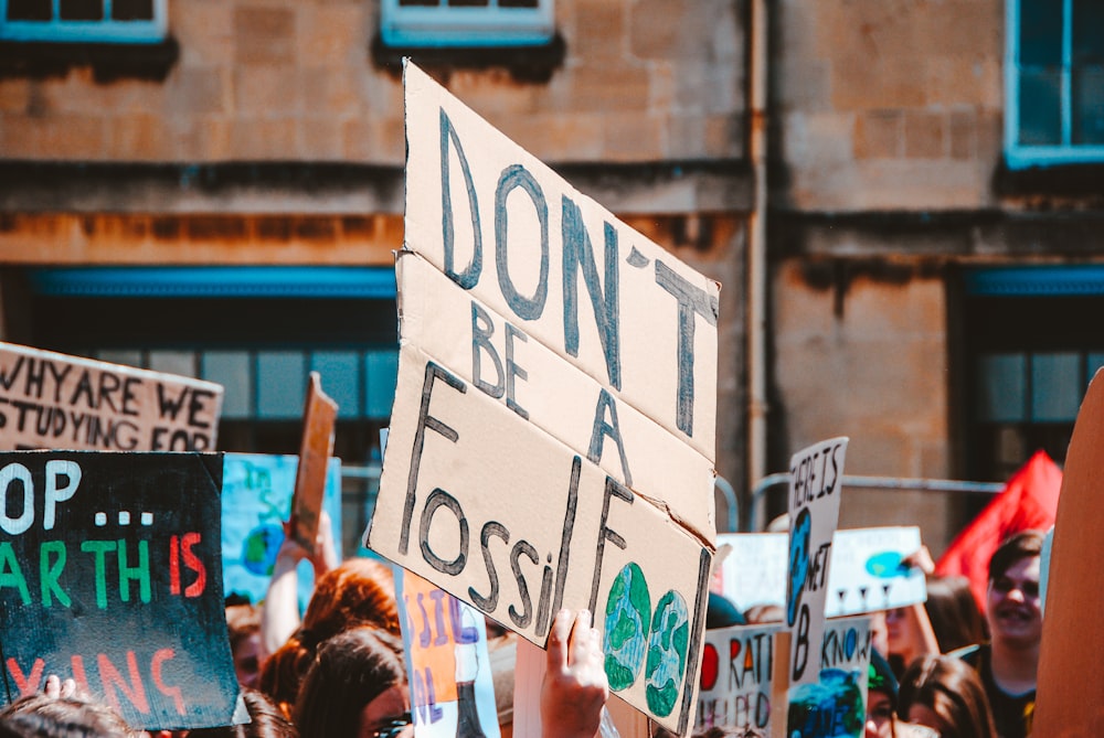 people near building holding varieties of signs