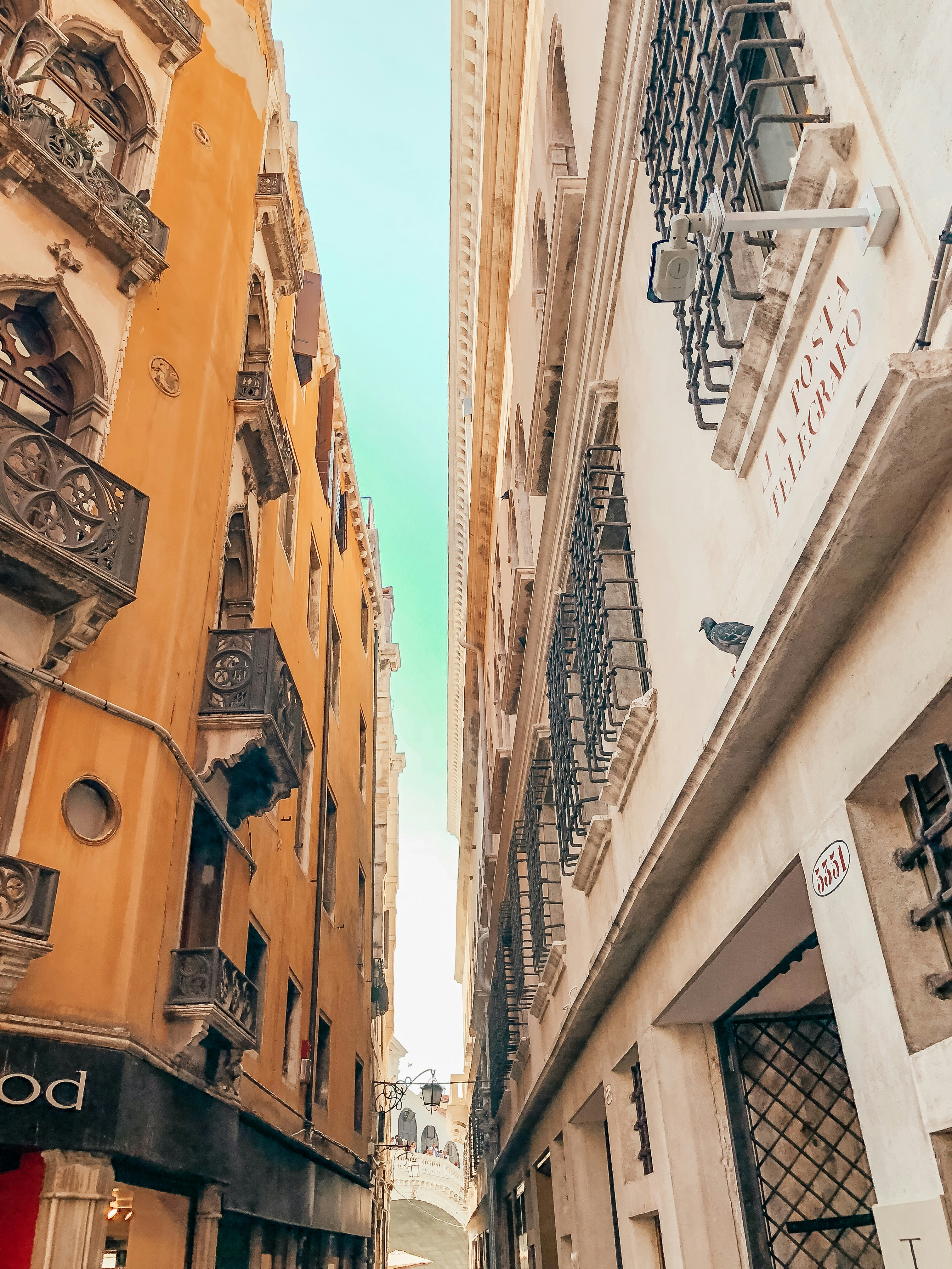 Photo by alina_posh_inc