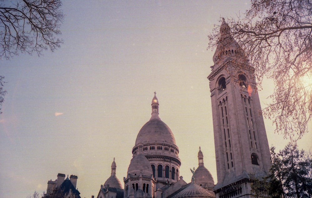 worm's eye view photography of gothic building