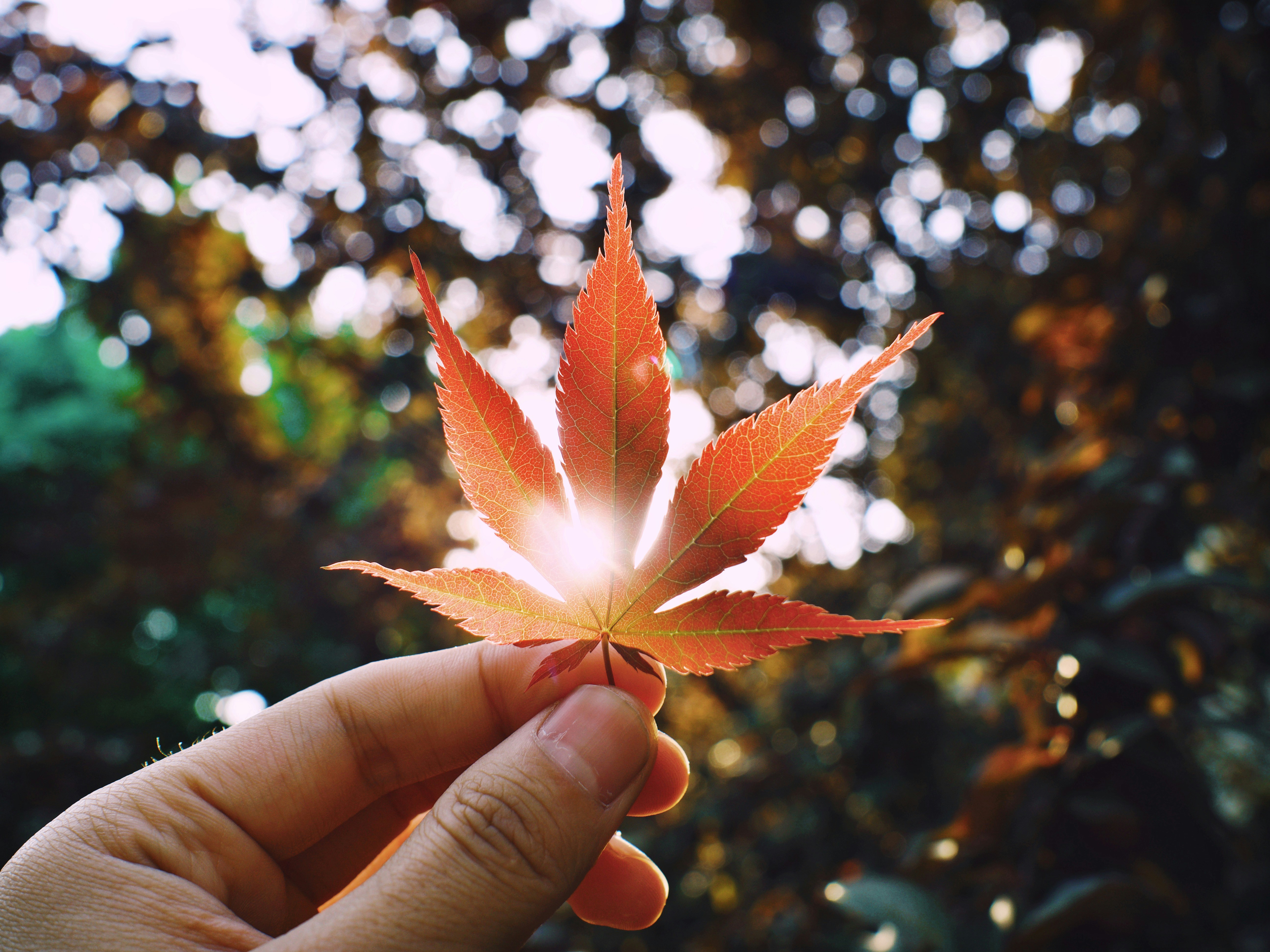 Photo by photohunter