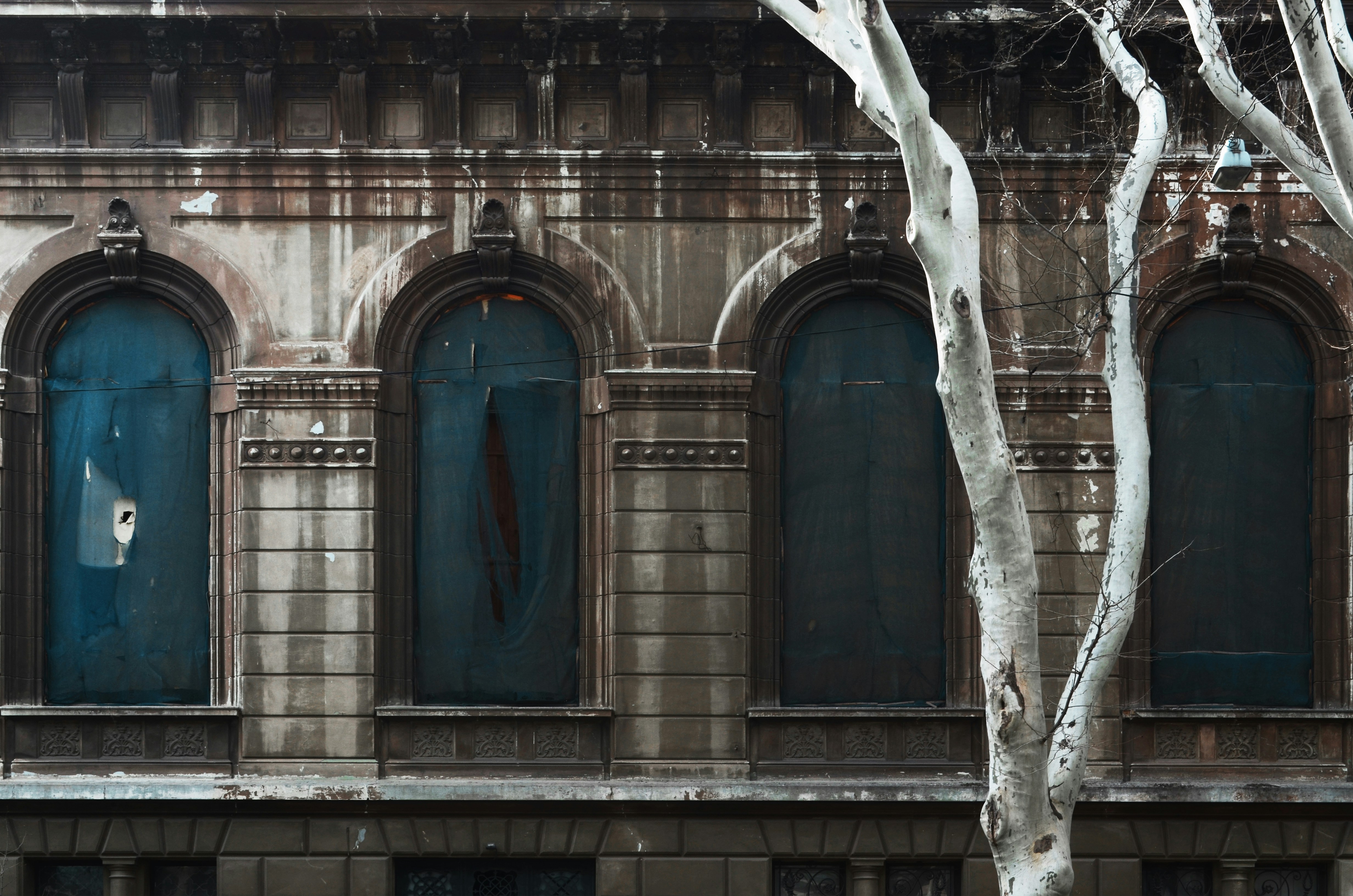A classic Chicago greystone building with large windows and intricate stone detailing, nestled on a tree-lined street in Logan Square - apartments in logan square
