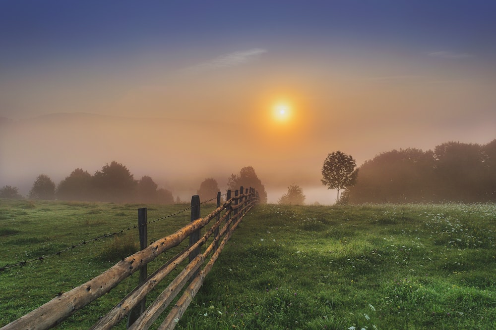 brown wooden fence during golden hour