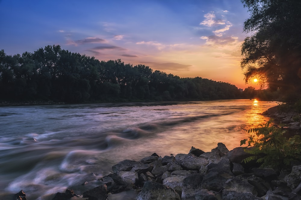 river between trees