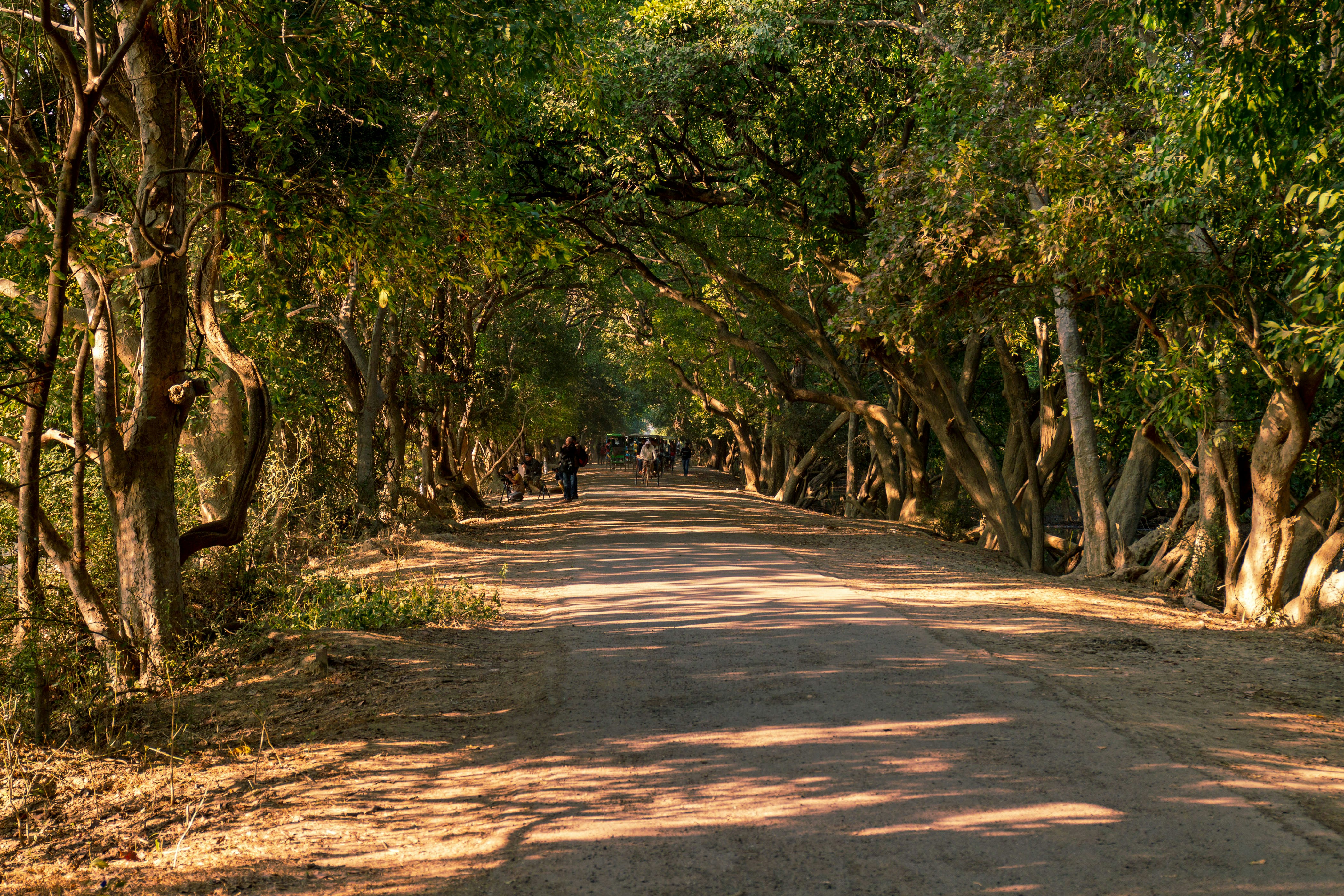 Road to Kumarakom Bird Sanctuary