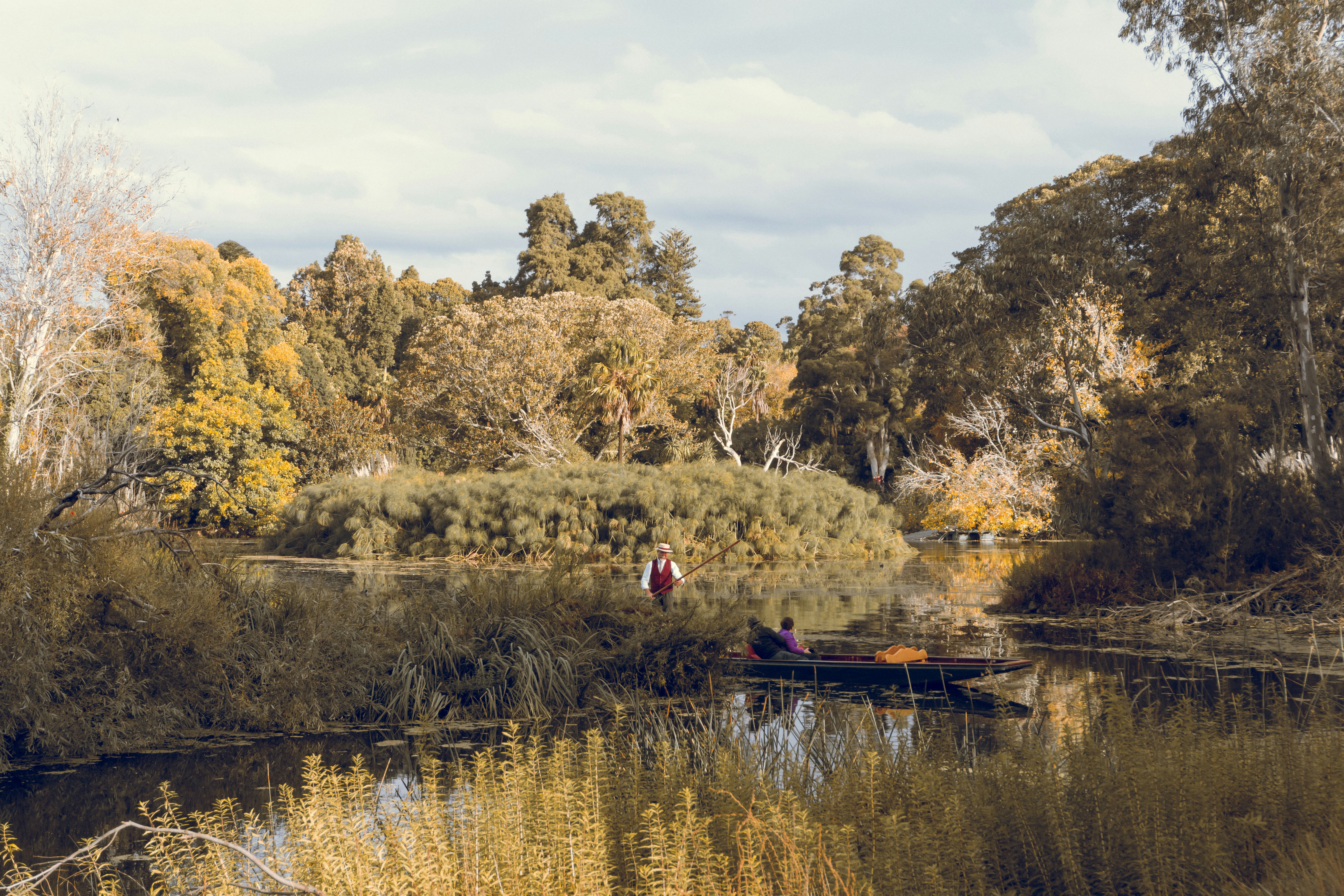two people near lake surrounded with tall trees, 