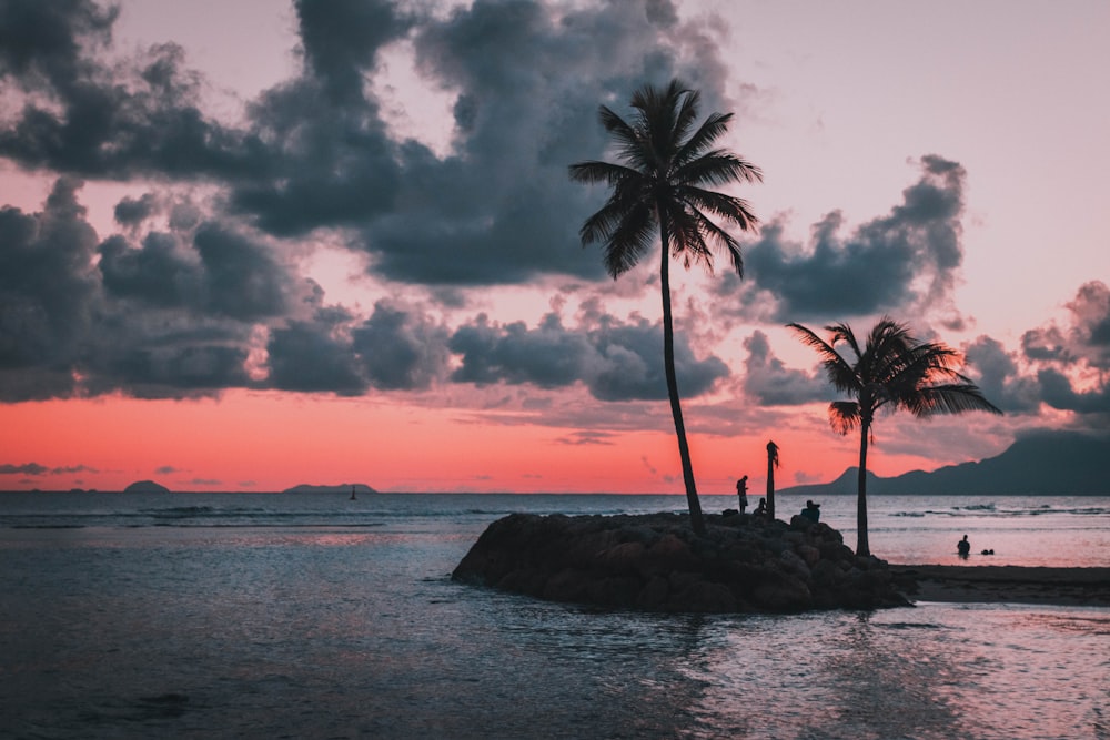 Guadeloupe Pictures  Download Free Images on Unsplash