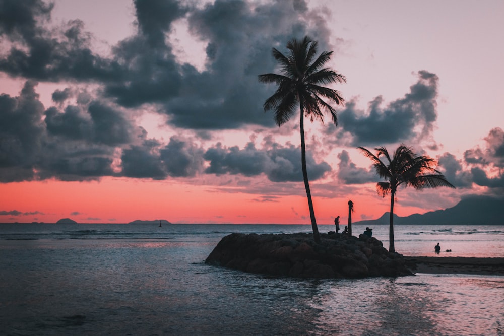 Isla verde con cocoteros bajo cielos grises