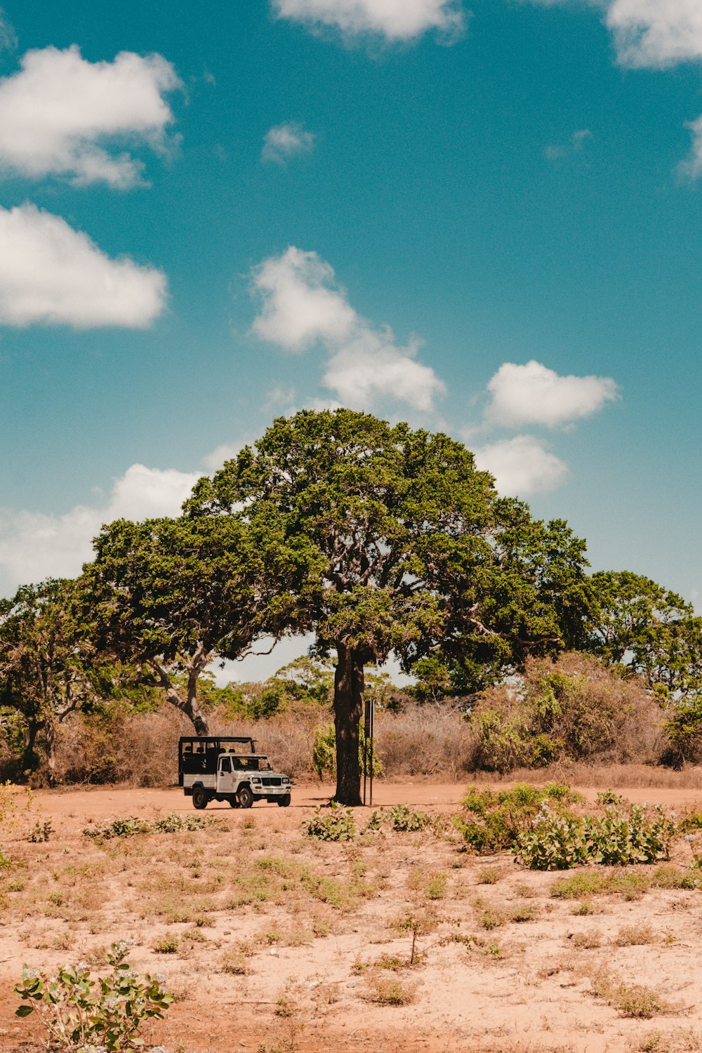 vehicle parked near tree