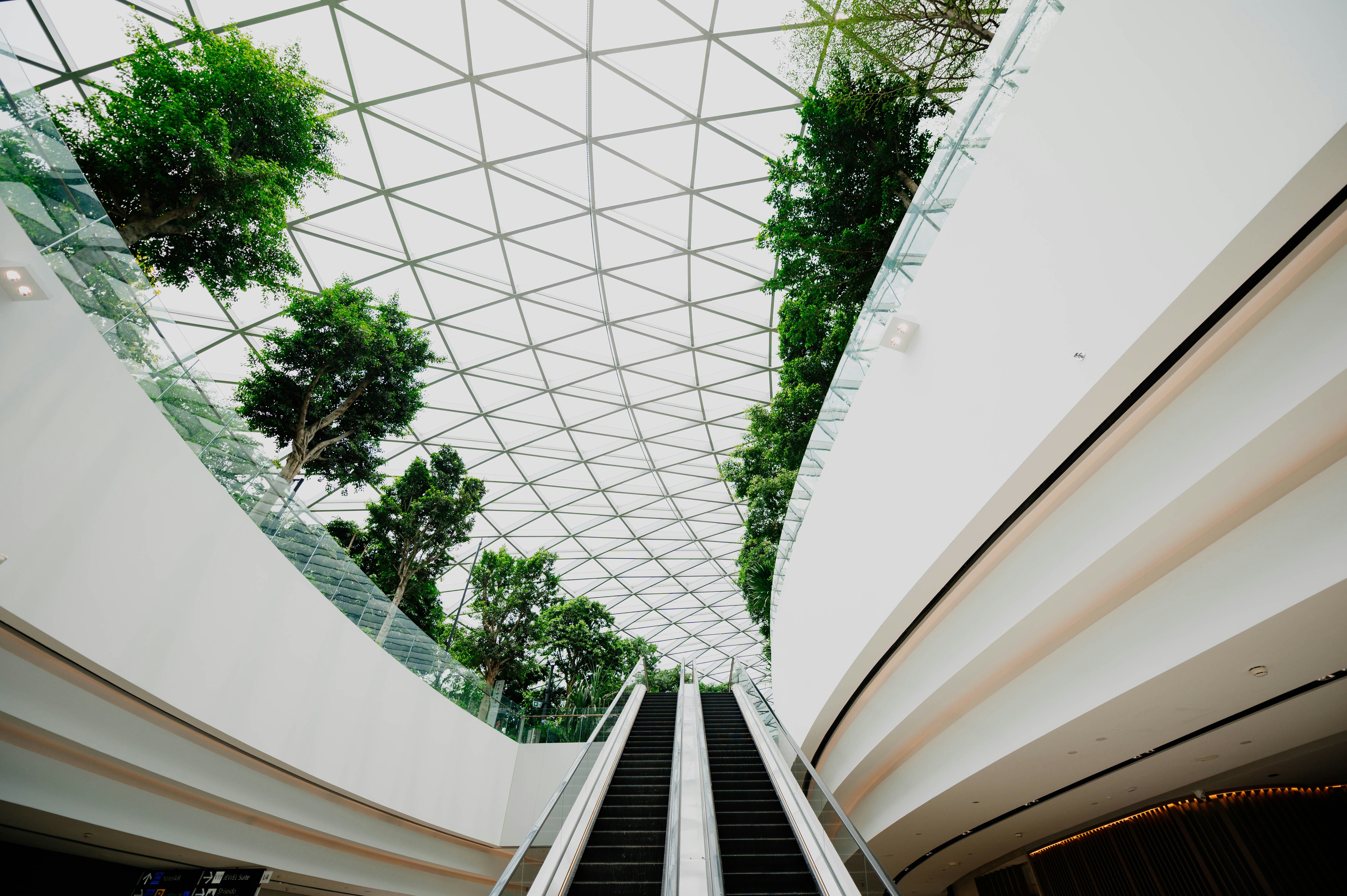 Photo by chuttersnap