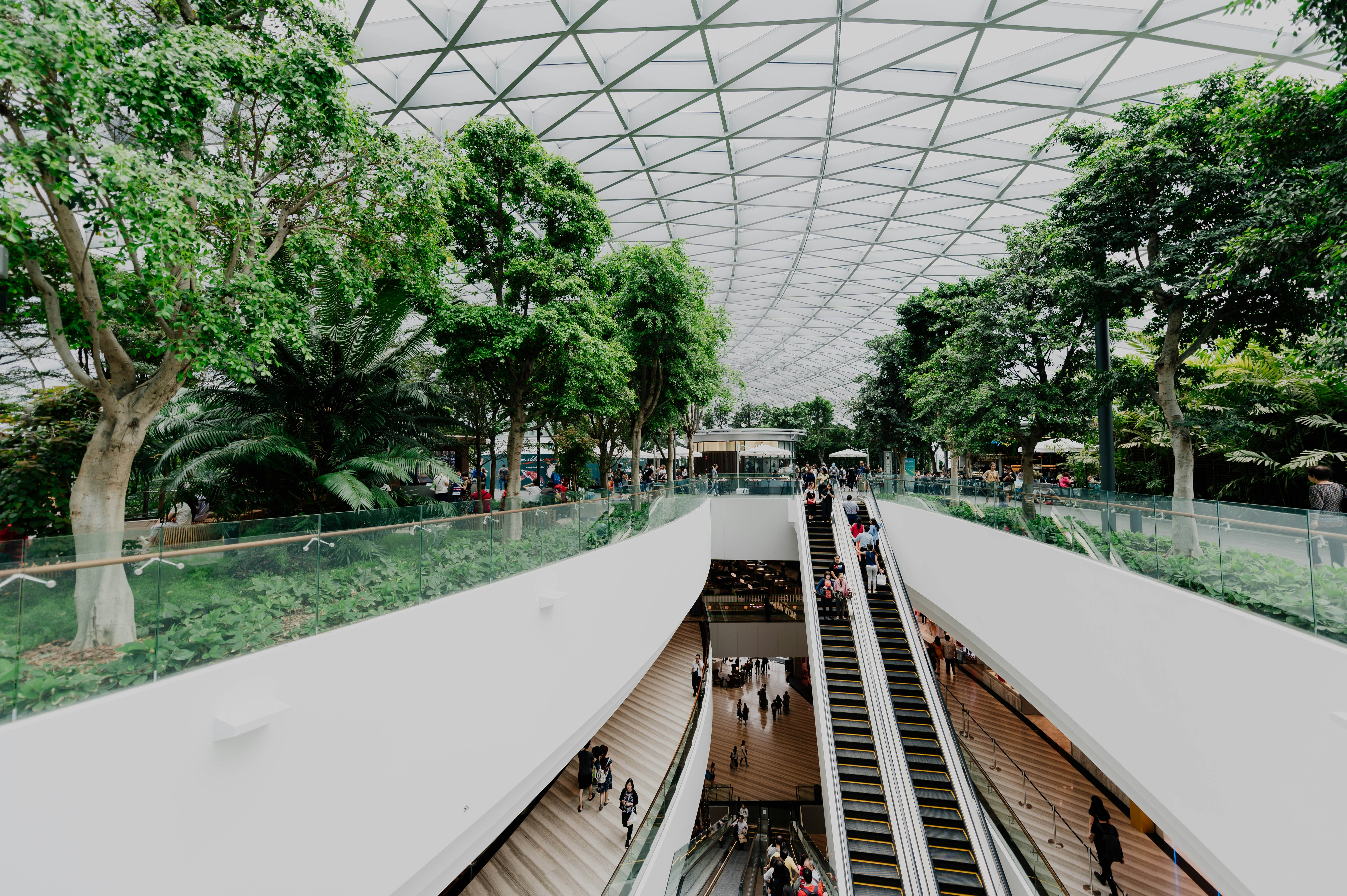 Photo by chuttersnap