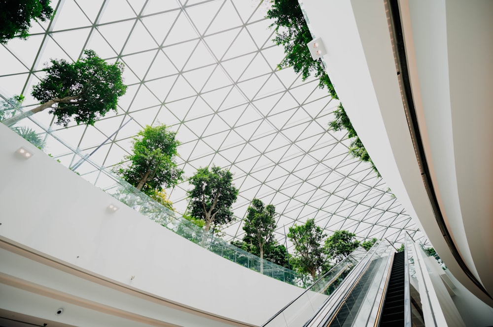 green trees inside building