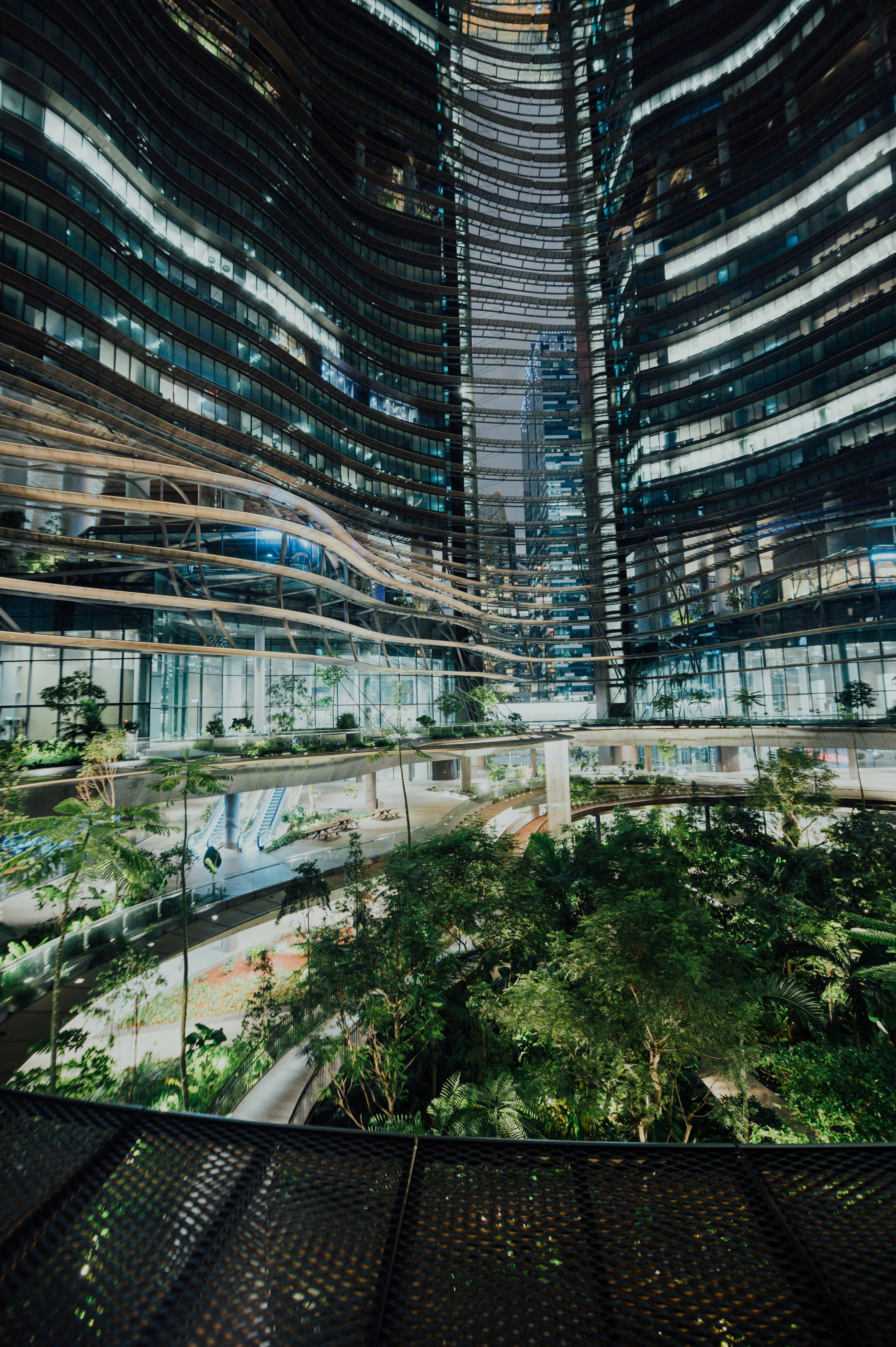 Photo by chuttersnap