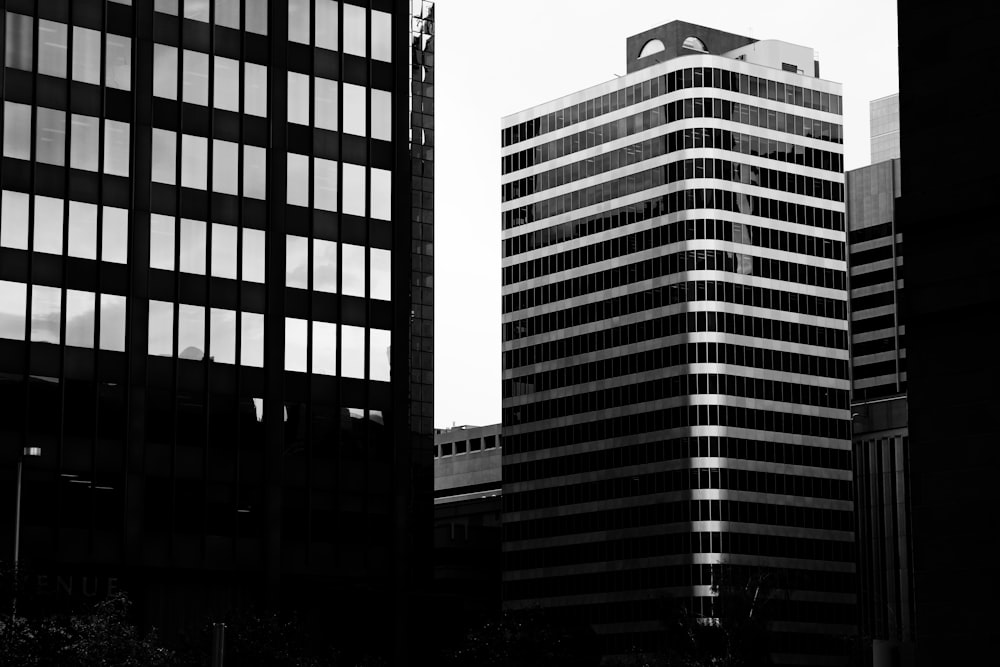 grayscale photogrphy of buildings