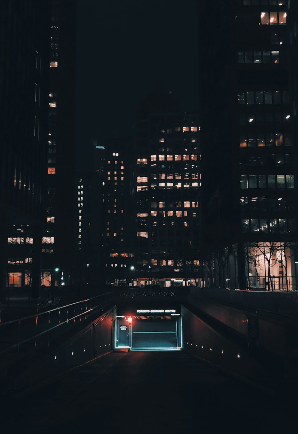 city with high-rise buildings at night time