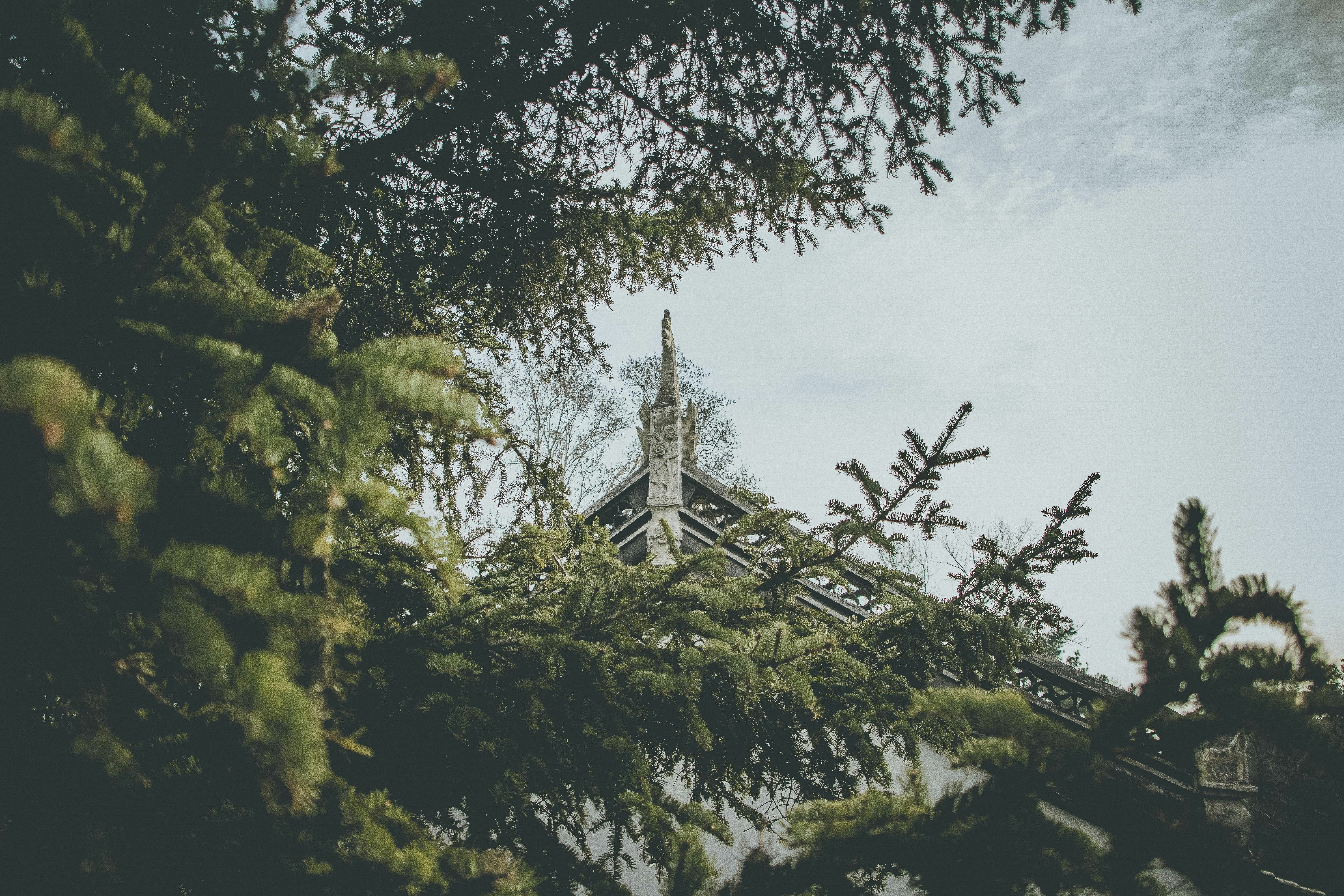 Photo by siberiaking