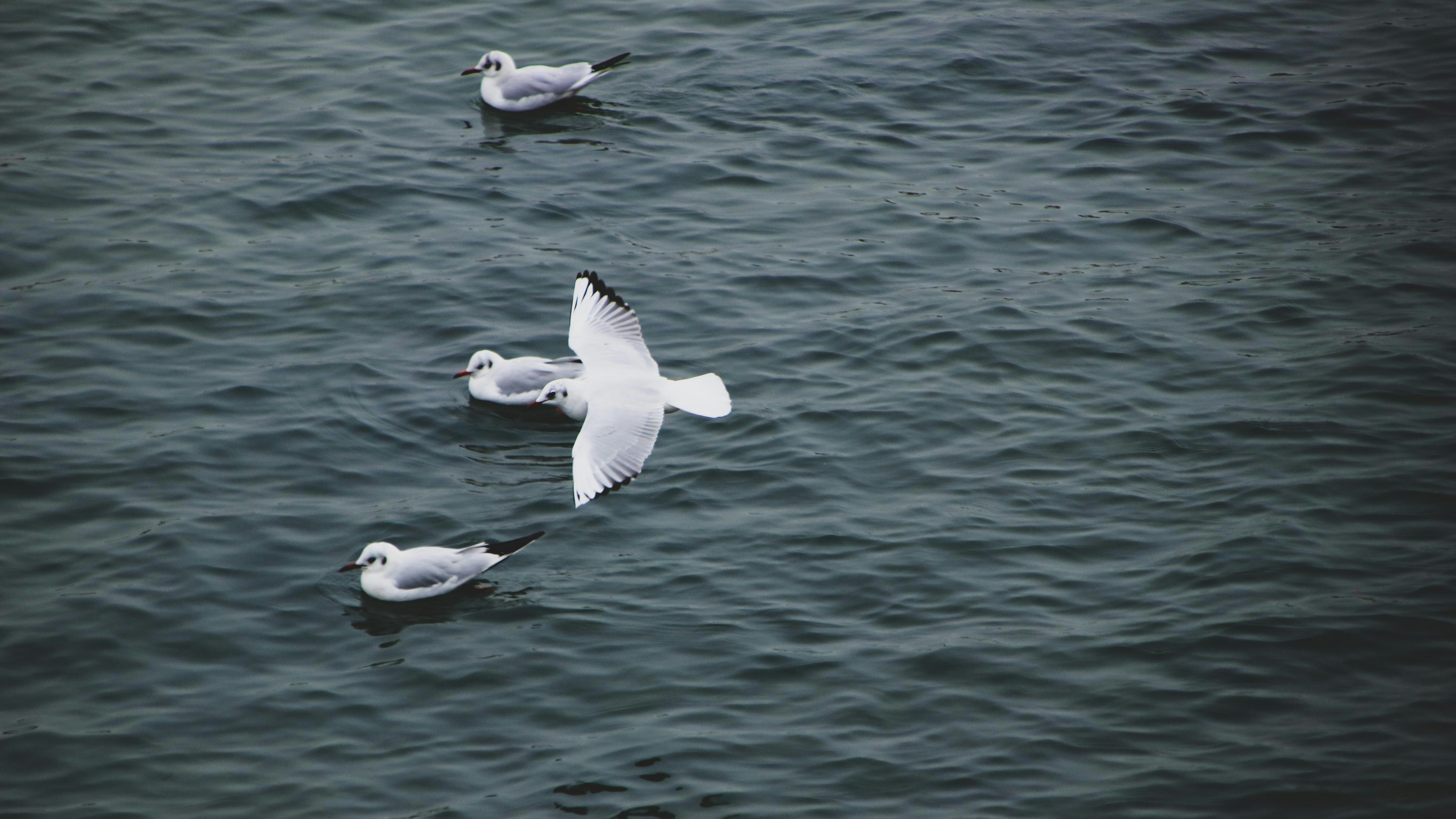 Photo by siberiaking