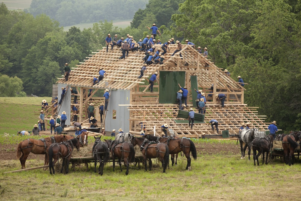people making house with horses