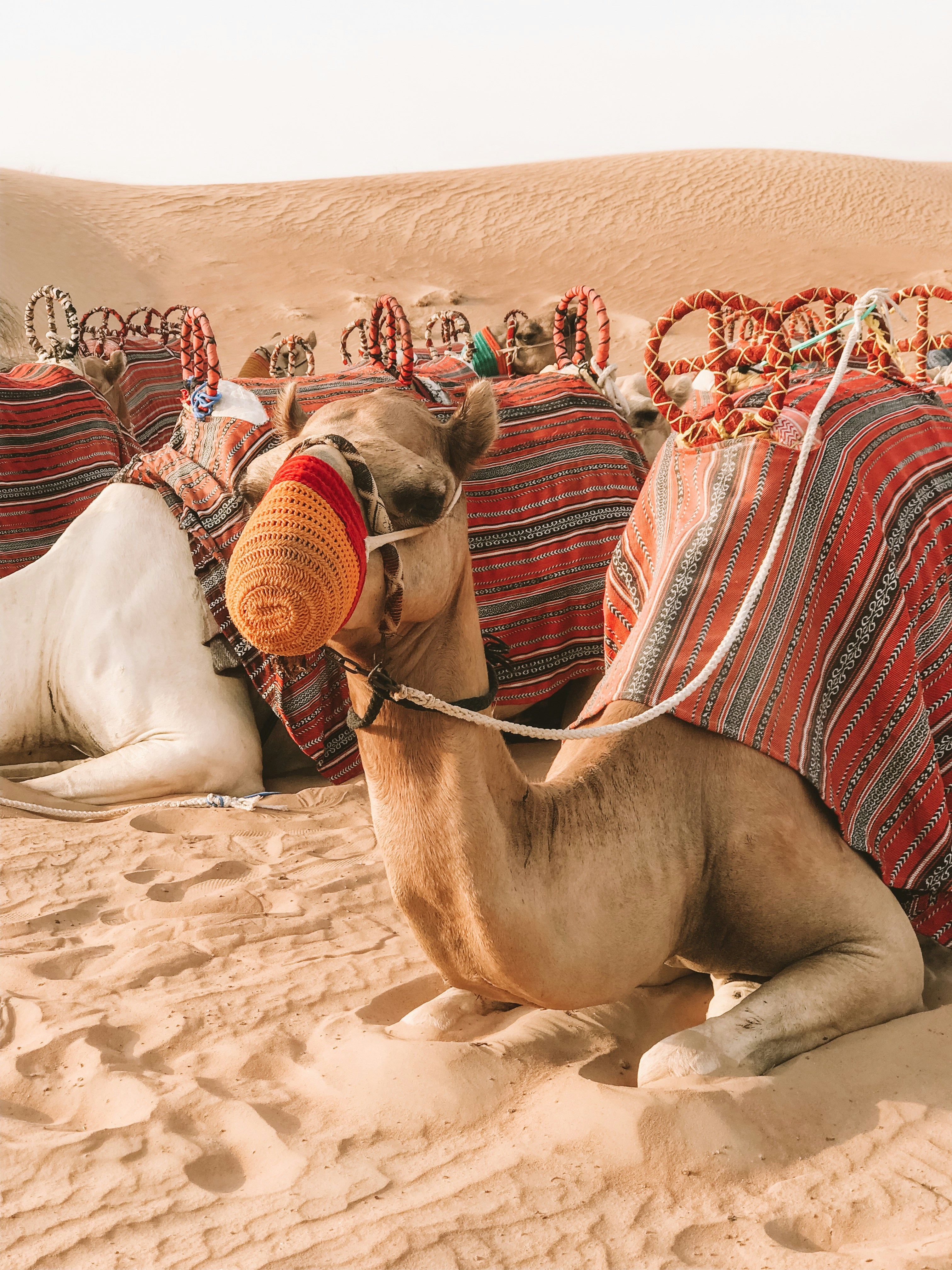 Photo by charlotablunarova