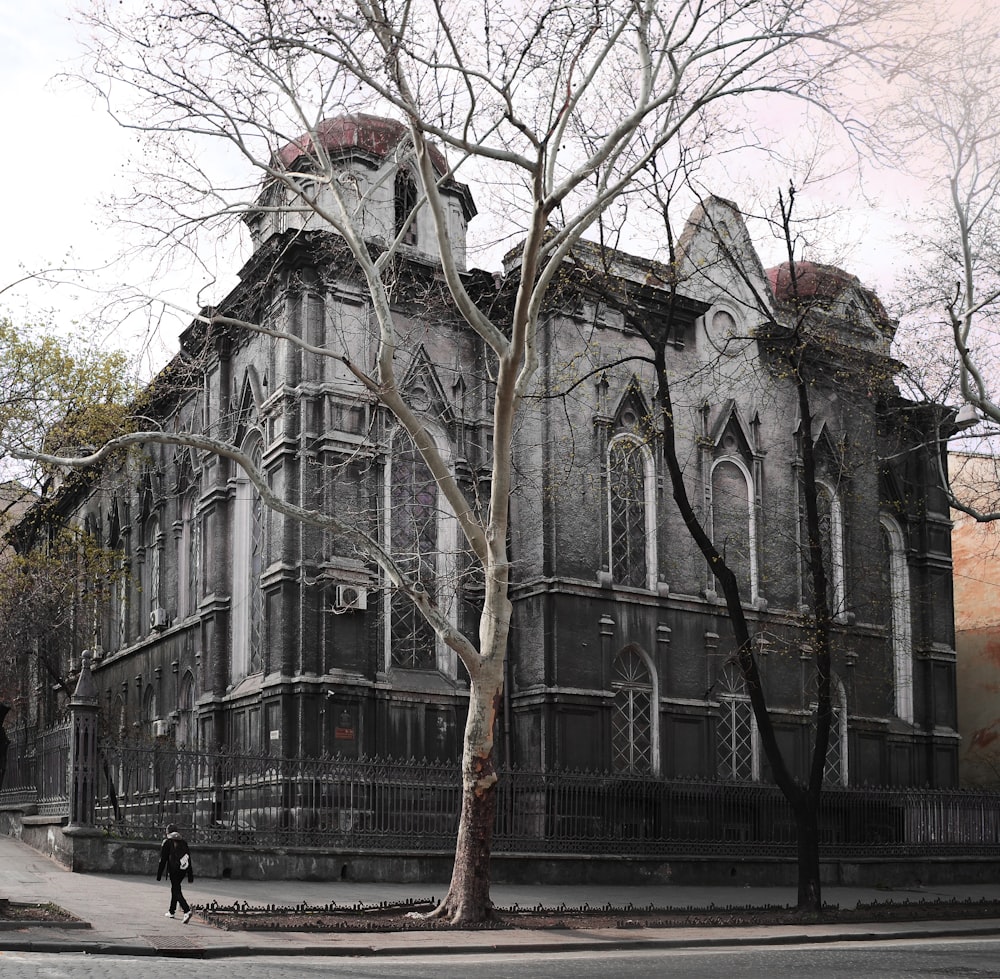 bare trees surrounding gray concrete building during daytime