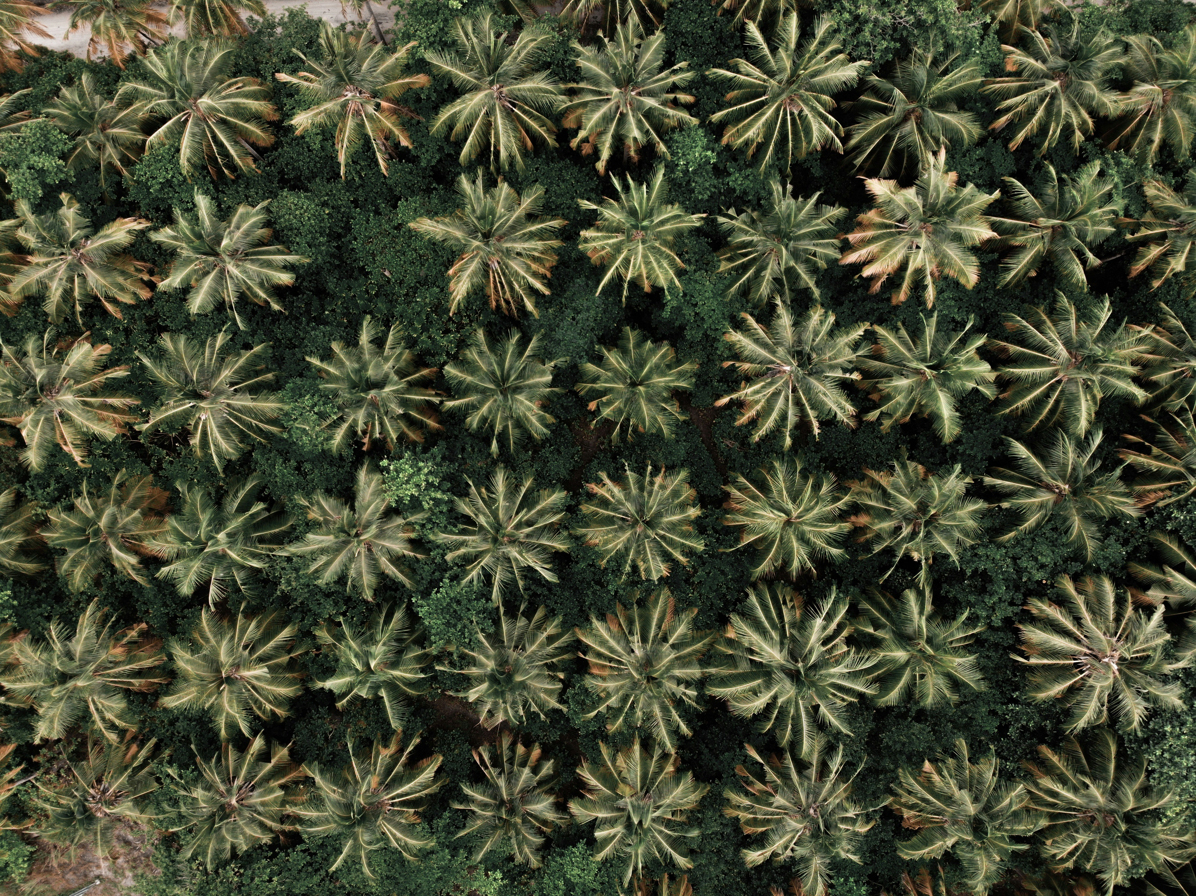 Photo by anmadezzzzz