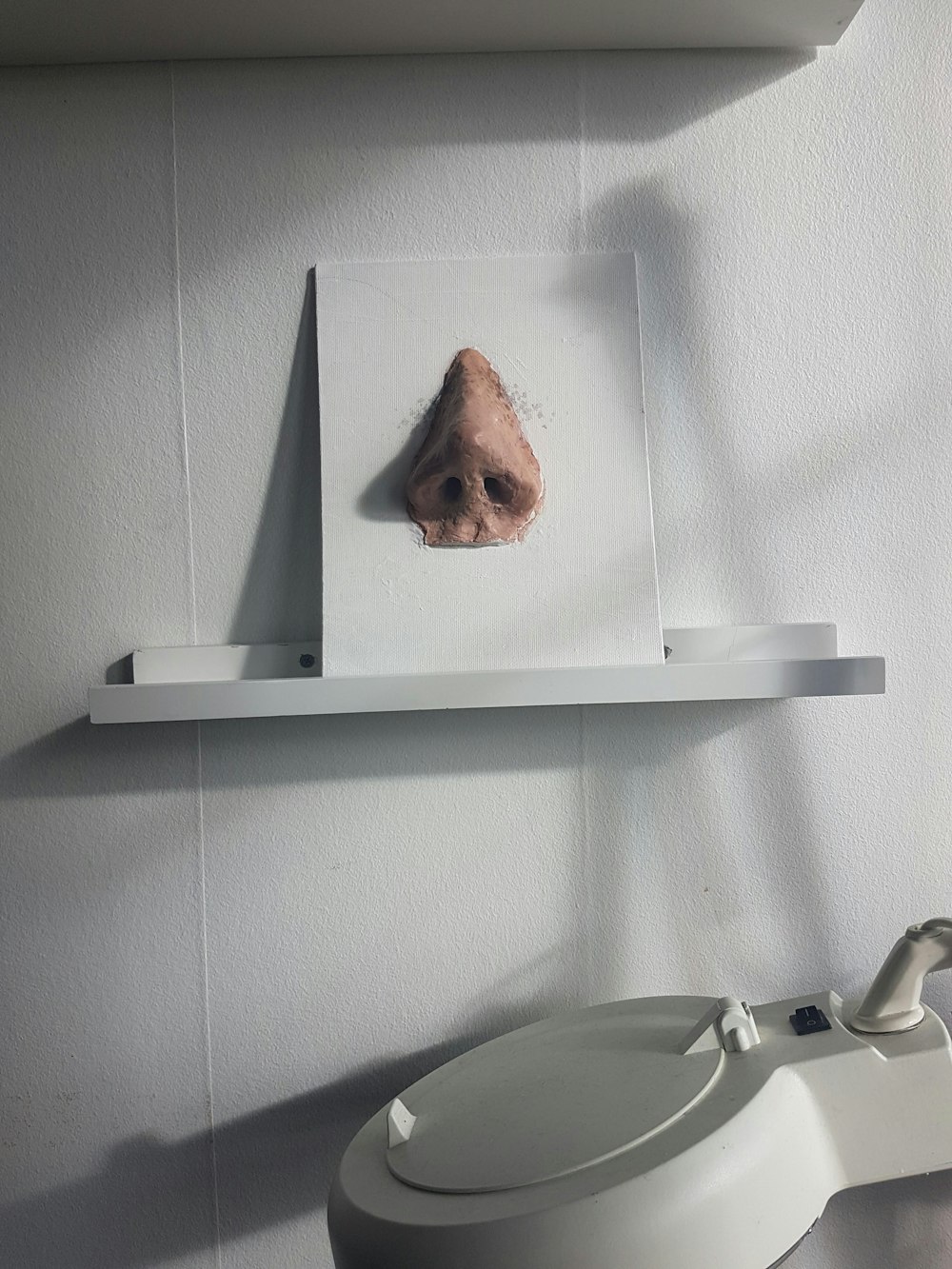 brown nose artwork on white wooden shelf