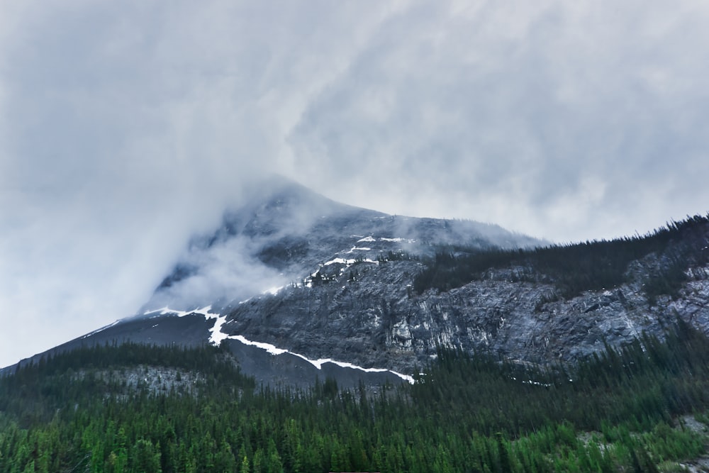 black mountain cover by fogs