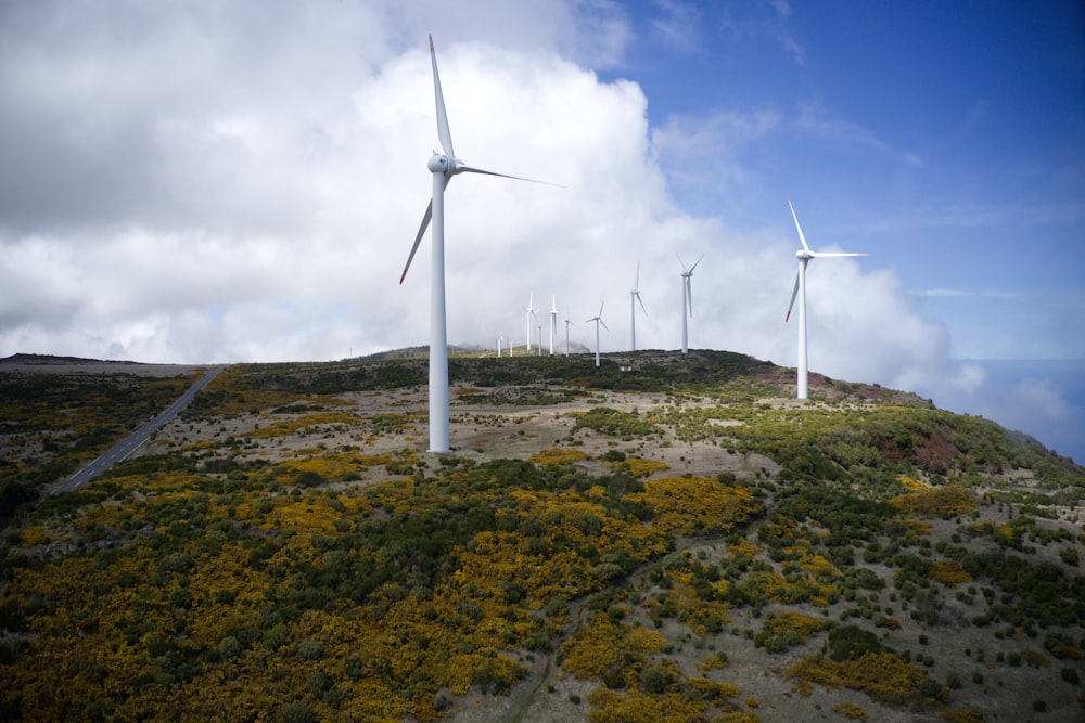 white wind wheel on green and yellow grass field