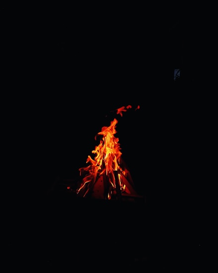 A vibrant campfire burns against a dark background, with flames dancing upwards in shades of orange and red, casting a warm glow.