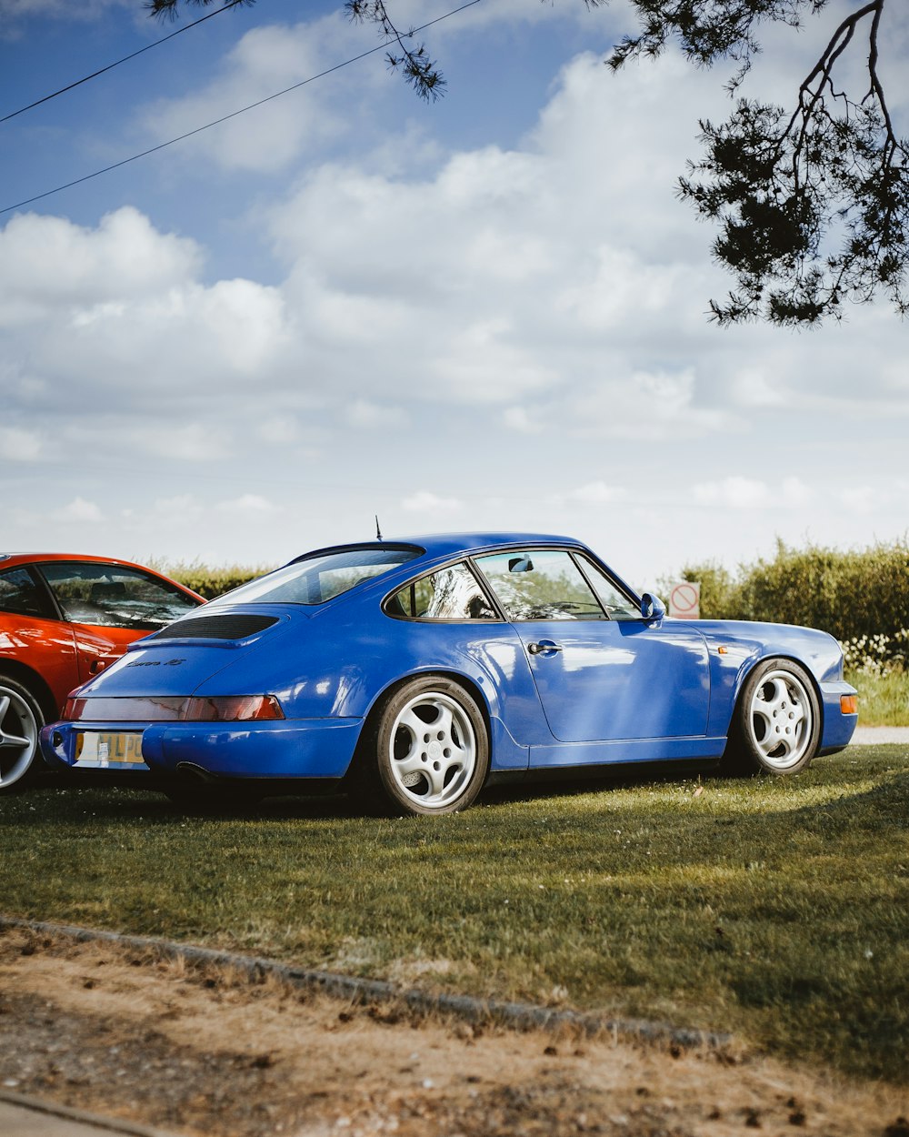 Blaues Coupé auf Gras