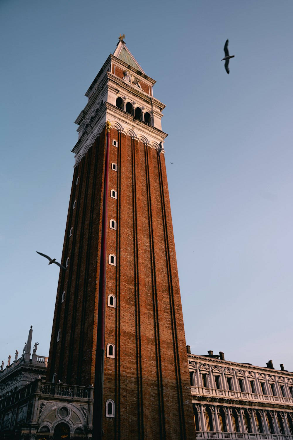 birds flying near brown concrete tower