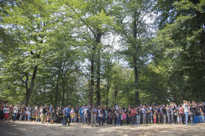 A lively community gathering outdoors, with diverse people engaged in discussion under tall redwoods.