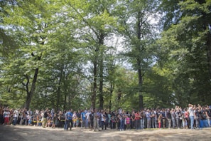 A group of people planting trees together in a lush forest setting