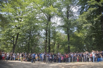 A large group of people is gathered in a forested area, surrounded by tall green trees. The crowd includes individuals of varying ages, standing closely together. The atmosphere appears lively, with some participants taking photos or interacting with each other.