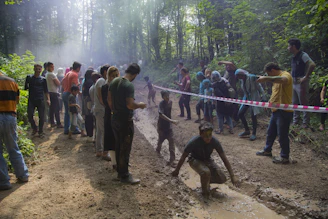 A group of toddlers exploring a shallow pond during an outdoor nature walk