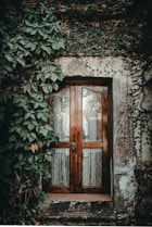 brown window near plant on wall