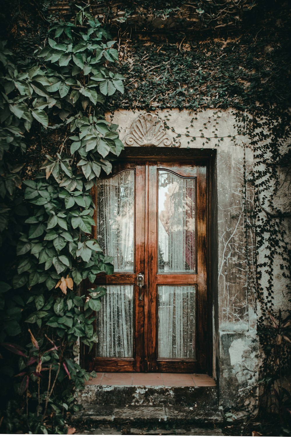 brown window near plant on wall