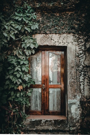 framing with frames in composition,how to photograph brown window near plant on wall