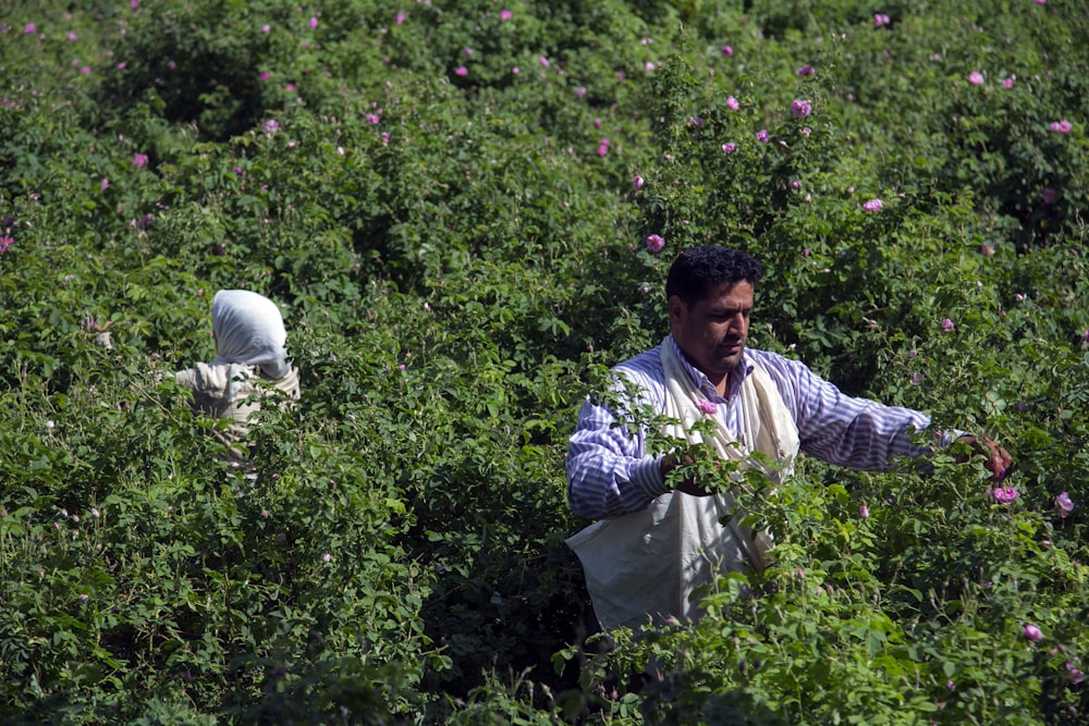 two person standing on plants