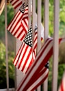 USA flag lot