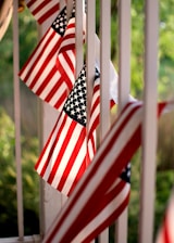 USA flag lot