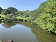 A peaceful garden scene with people enjoying nature and companionship.