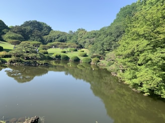 A peaceful garden scene with people enjoying nature and companionship.