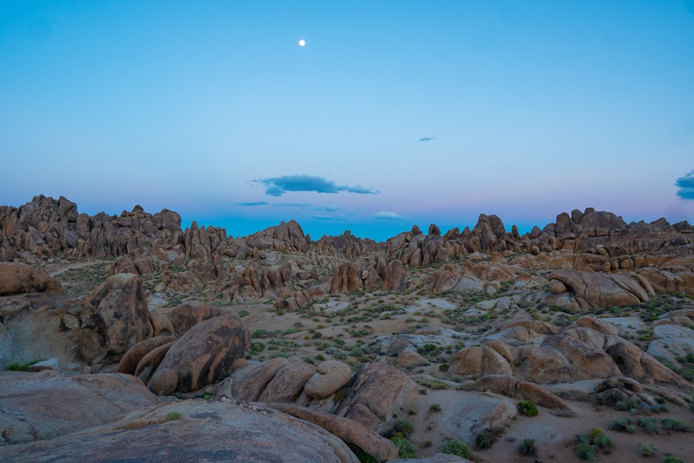 rocks near ocean