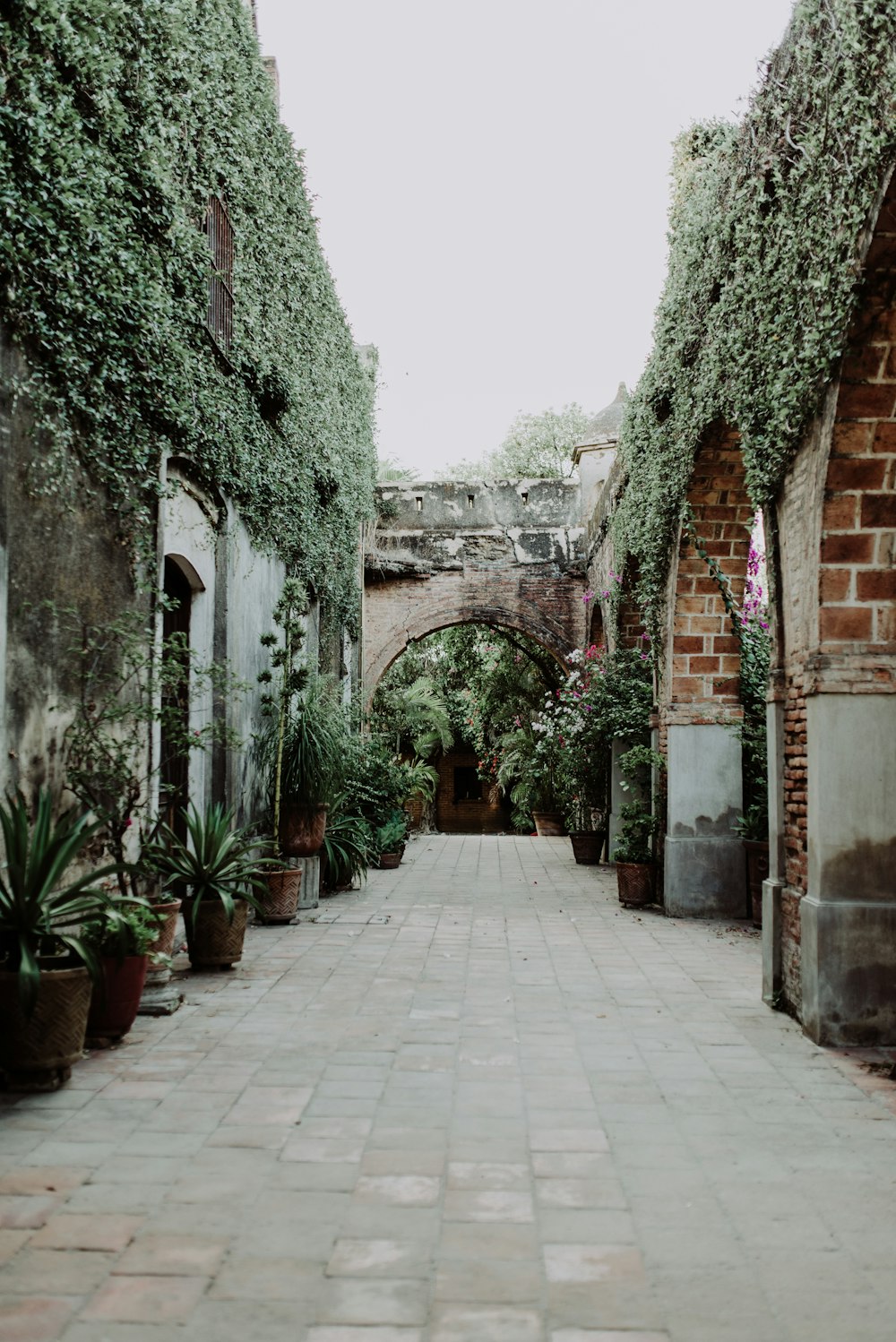 green plants near concrete posts